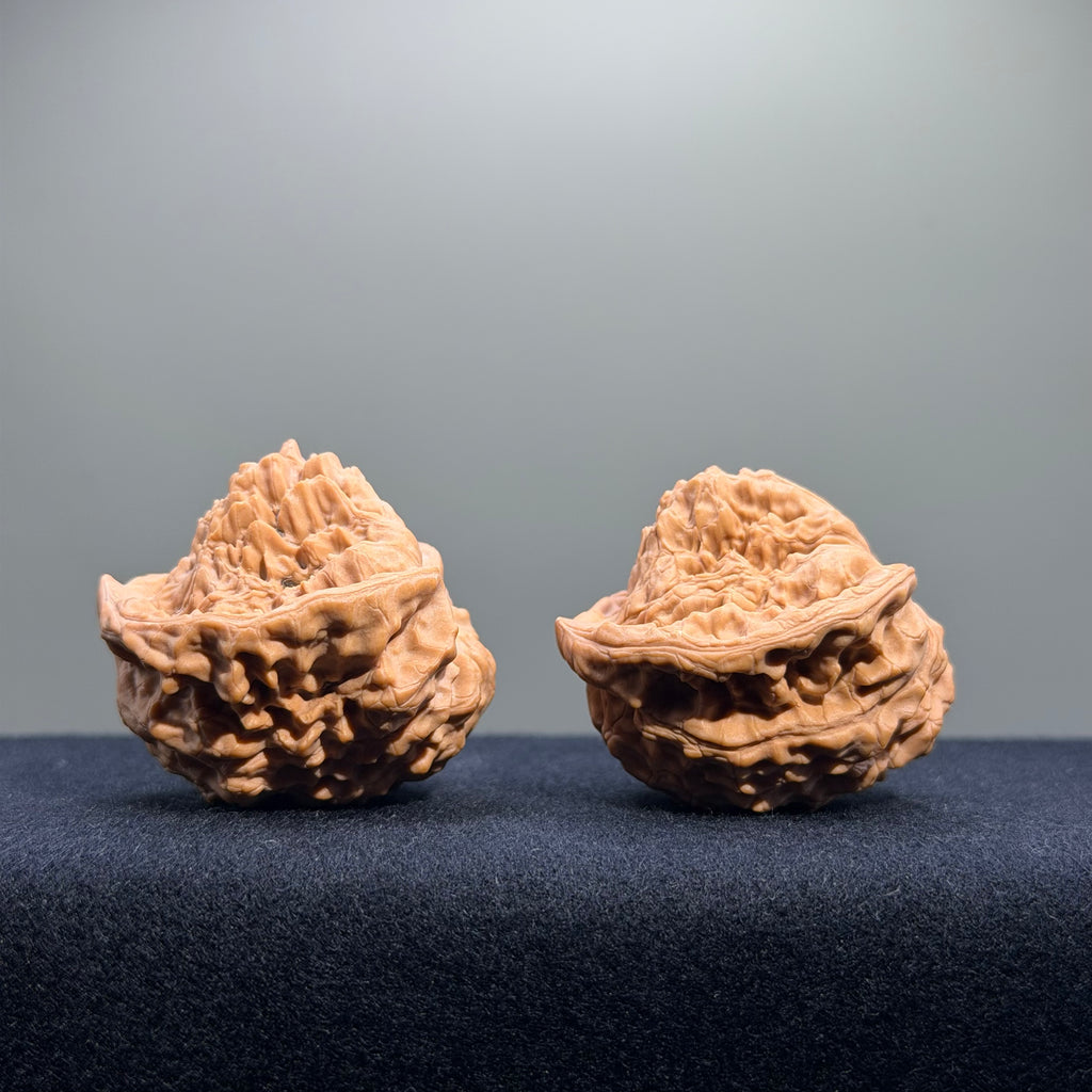 Treasure Basin Mountain Wenwan Walnut · 40mm · Premium Ritual