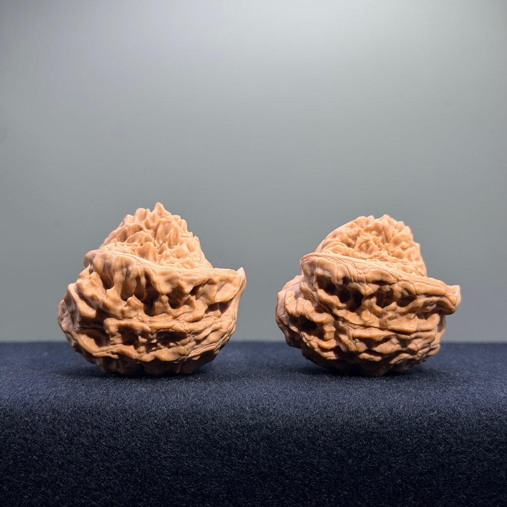 Treasure Basin Mountain Wenwan Walnut · 40mm · Premium Ritual