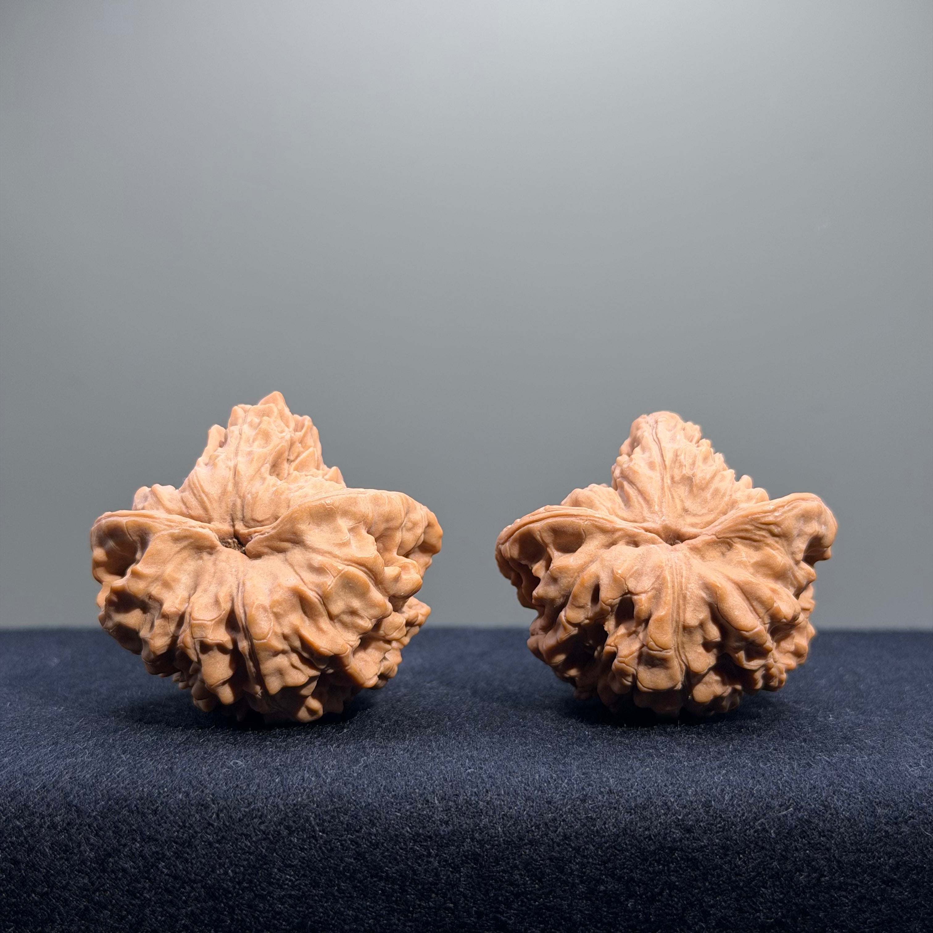 Treasure Basin Mountain Wenwan Walnut · 40mm · Premium Ritual