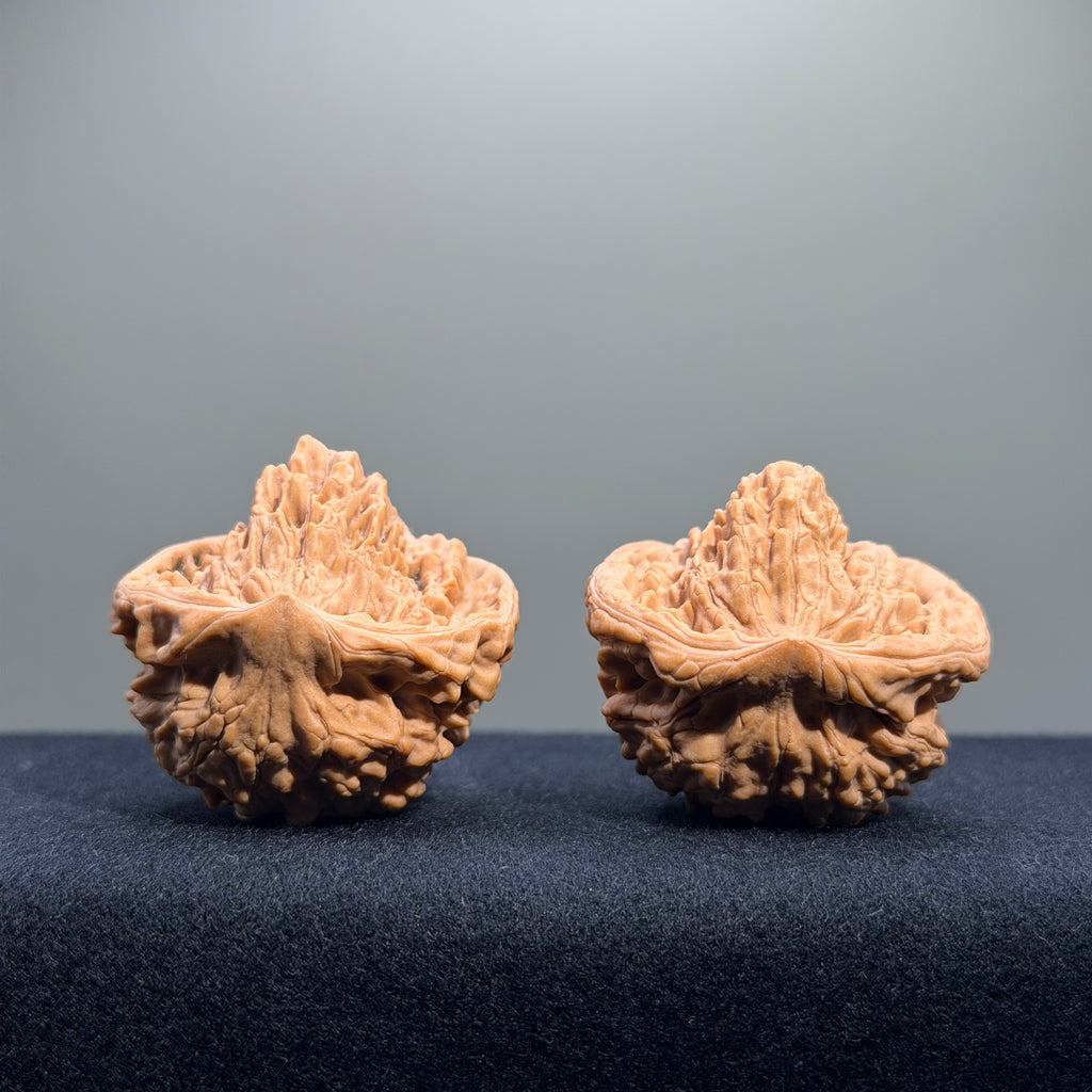Treasure Basin Mountain Wenwan Walnut · 40mm · Premium Ritual