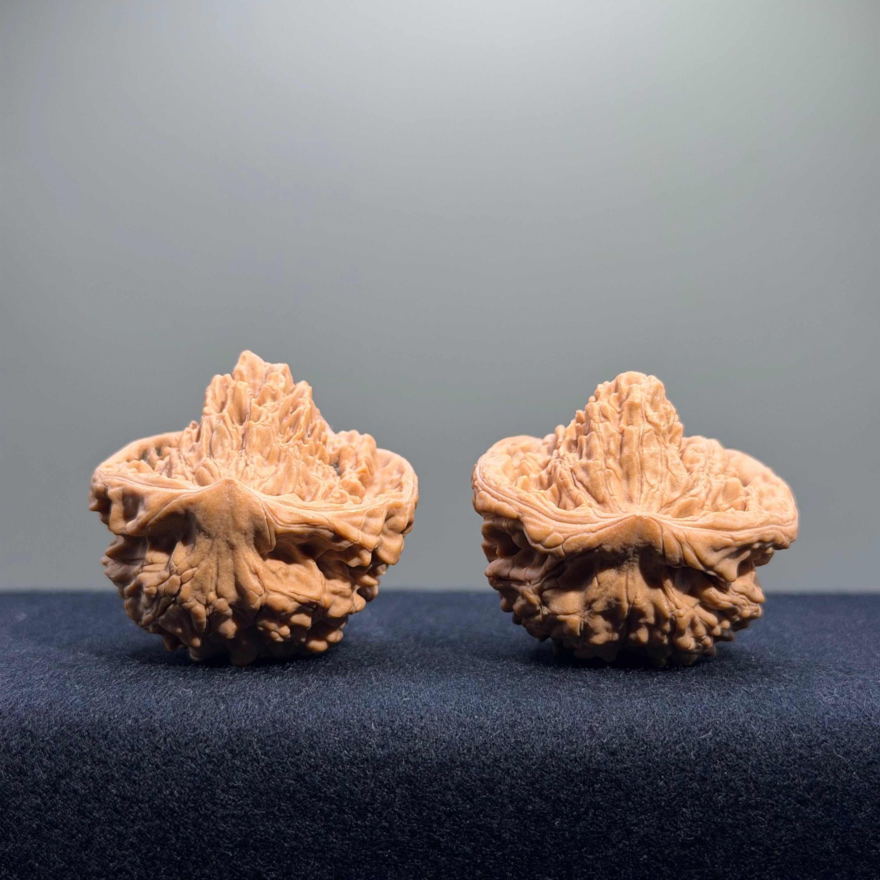 Treasure Basin Mountain Wenwan Walnut · 40mm · Premium Ritual