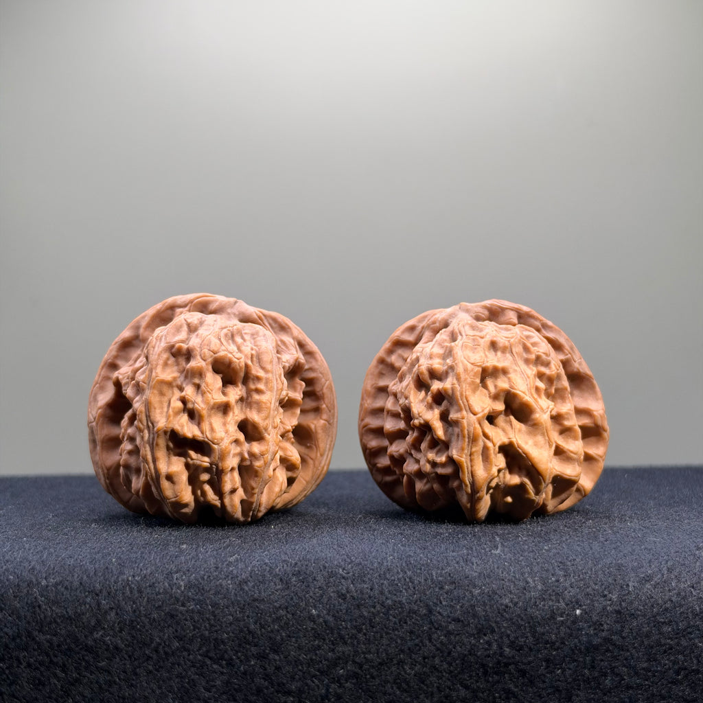 White Lion Wenwan Walnut · 41mm · Natural · Select Ritual