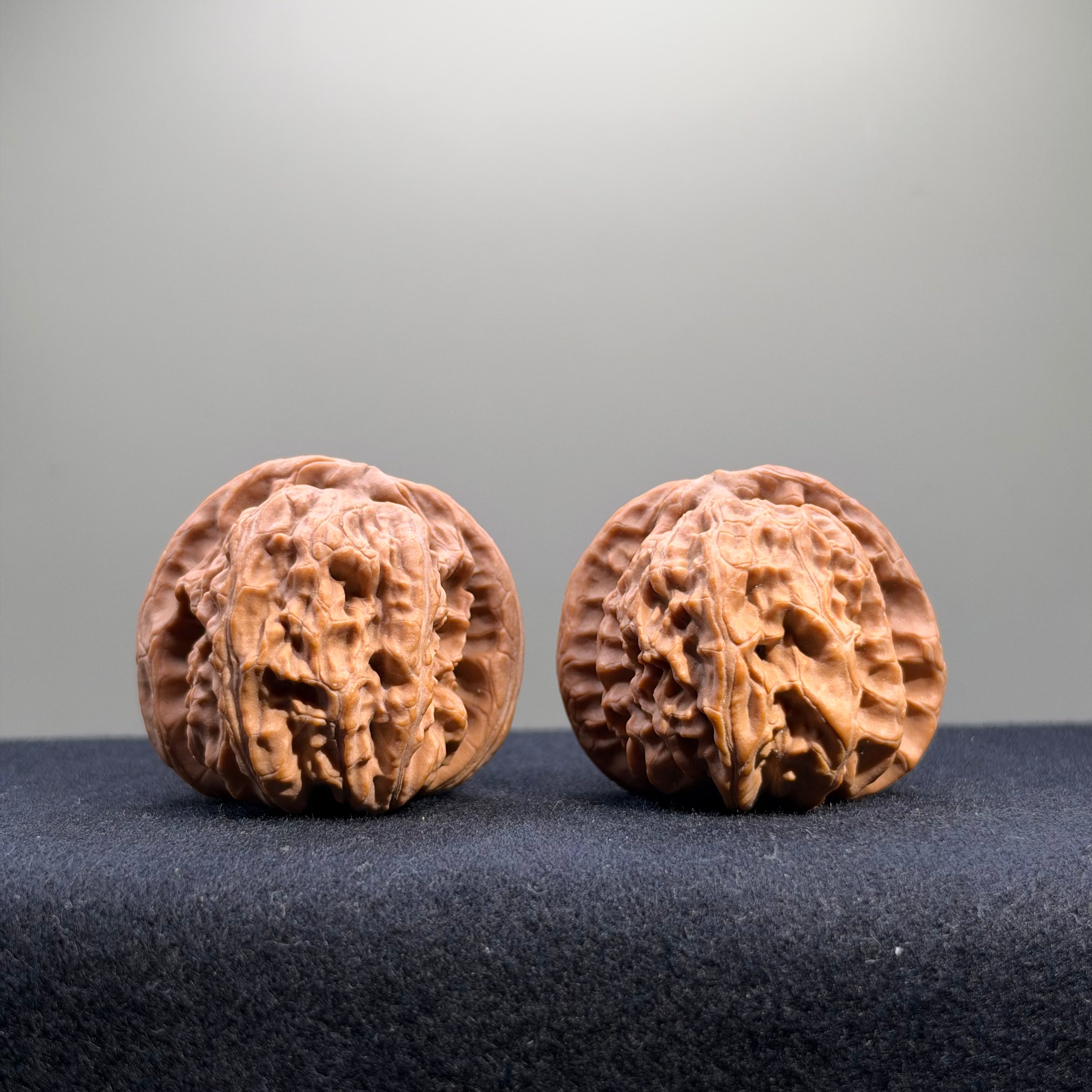 White Lion Wenwan Walnut · 41mm · Natural · Select Ritual