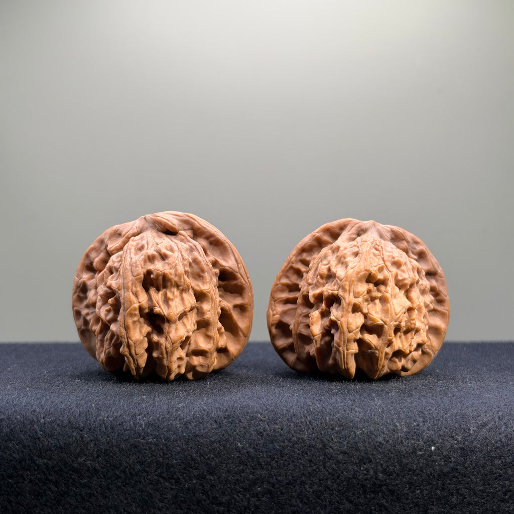 White Lion Wenwan Walnut · 41mm · Natural · Select Ritual