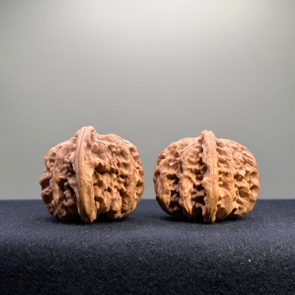 White Lion Wenwan Walnut · 41mm · Natural · Select Ritual