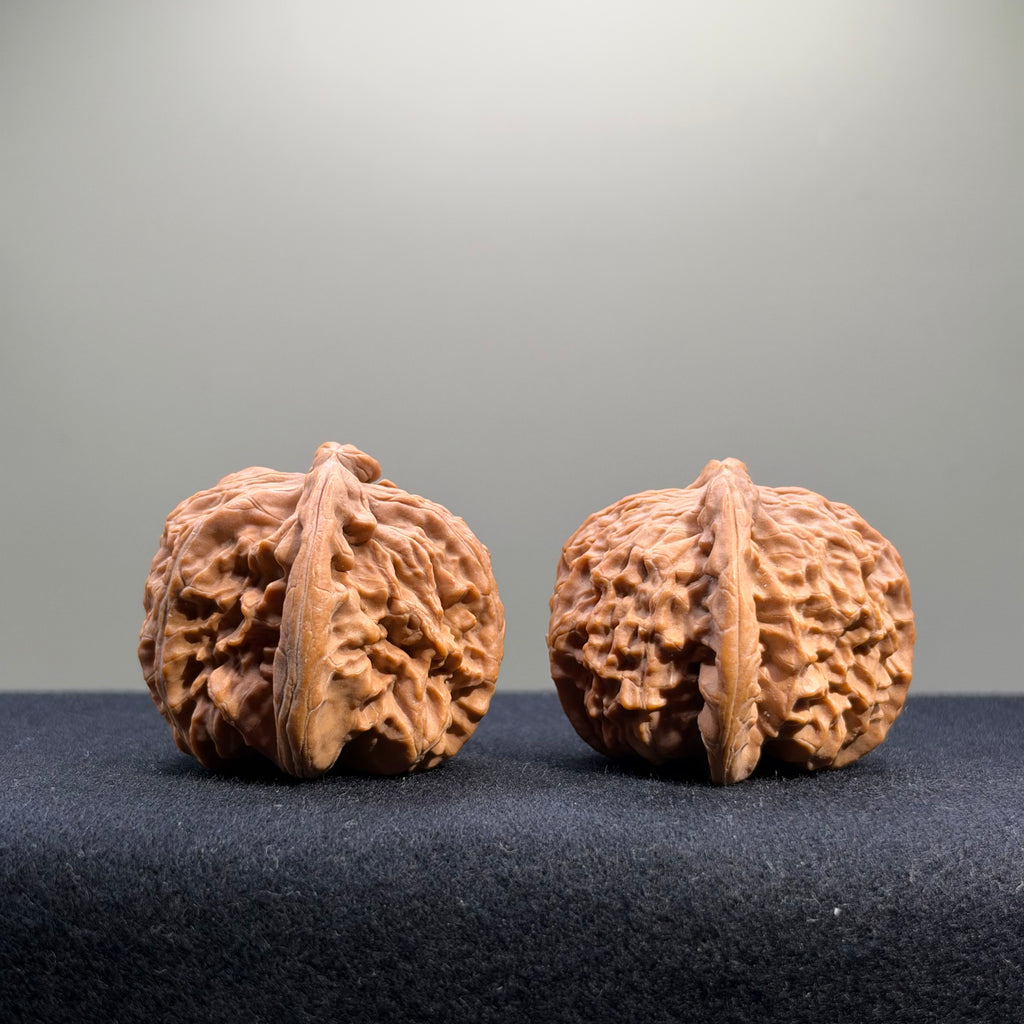 White Lion Wenwan Walnut · 41mm · Natural · Select Ritual