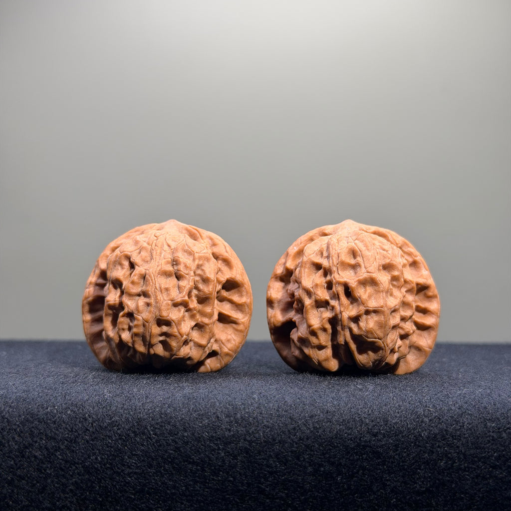 Wild Wolf Wenwan Walnut · 35mm · Natural · Entry Ritual