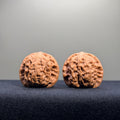 Wild Wolf Wenwan Walnut · 35mm · Natural · Entry Ritual