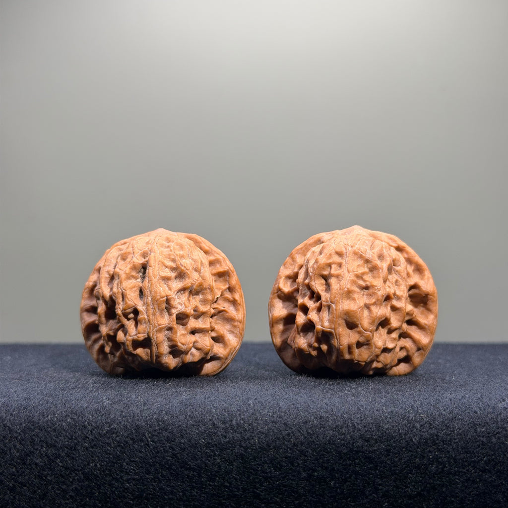 Wild Wolf Wenwan Walnut · 35mm · Natural · Entry Ritual