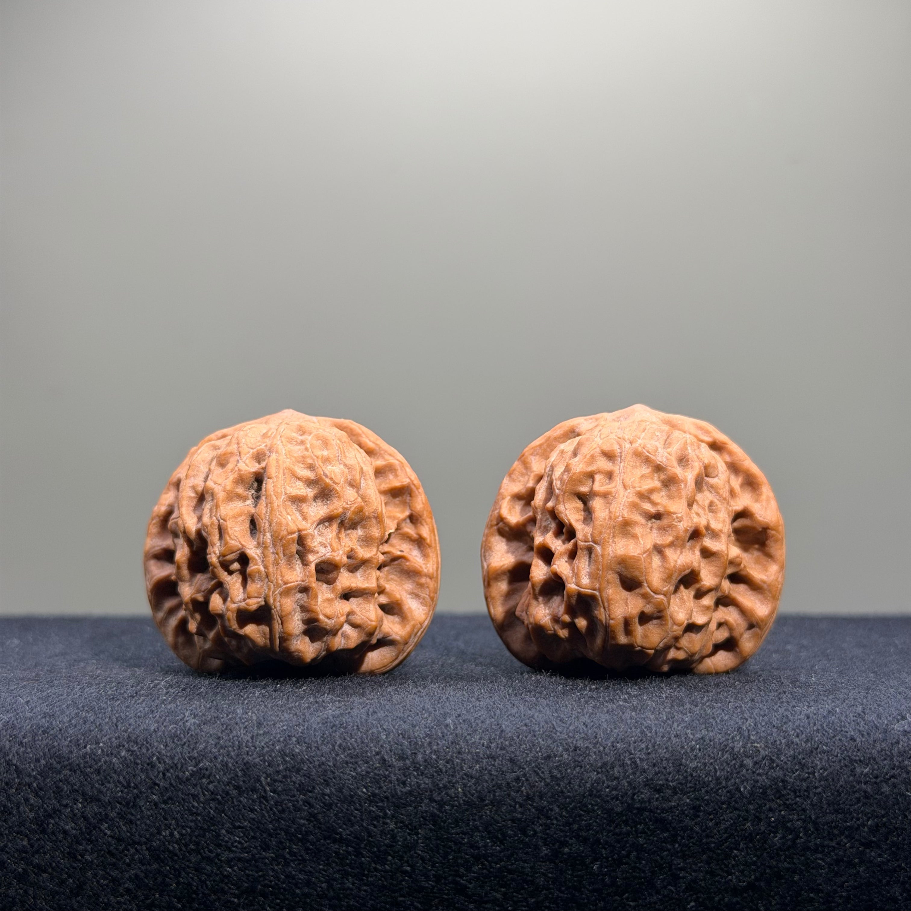 Wild Wolf Wenwan Walnut · 35mm · Natural · Entry Ritual