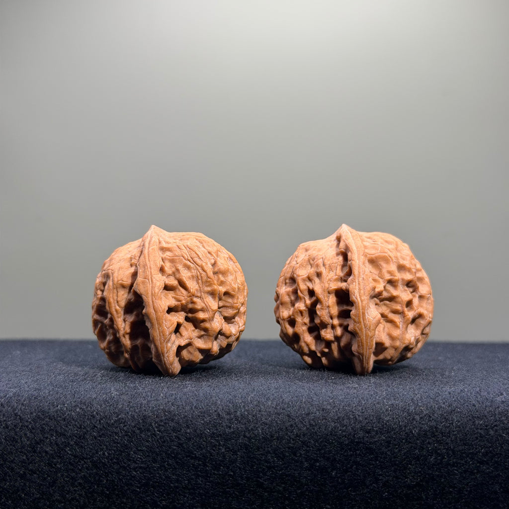 Wild Wolf Wenwan Walnut · 35mm · Natural · Entry Ritual