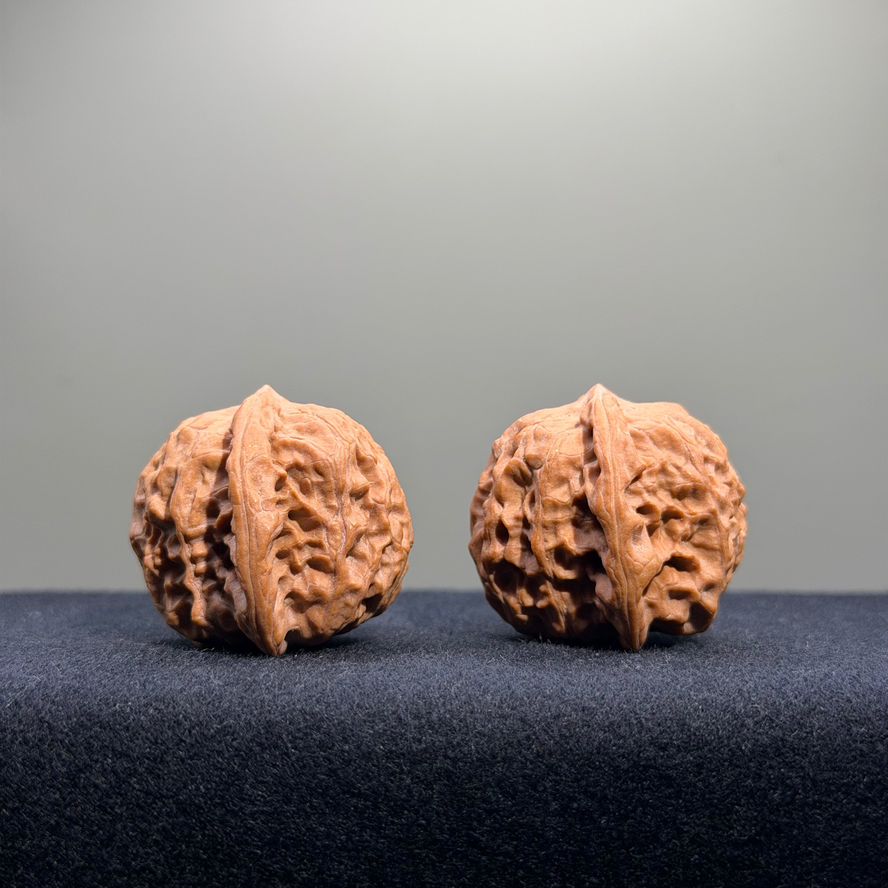 Wild Wolf Wenwan Walnut · 35mm · Natural · Entry Ritual