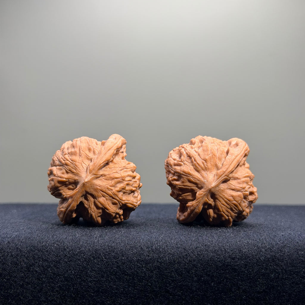 Wild Wolf Wenwan Walnut · 35mm · Natural · Entry Ritual