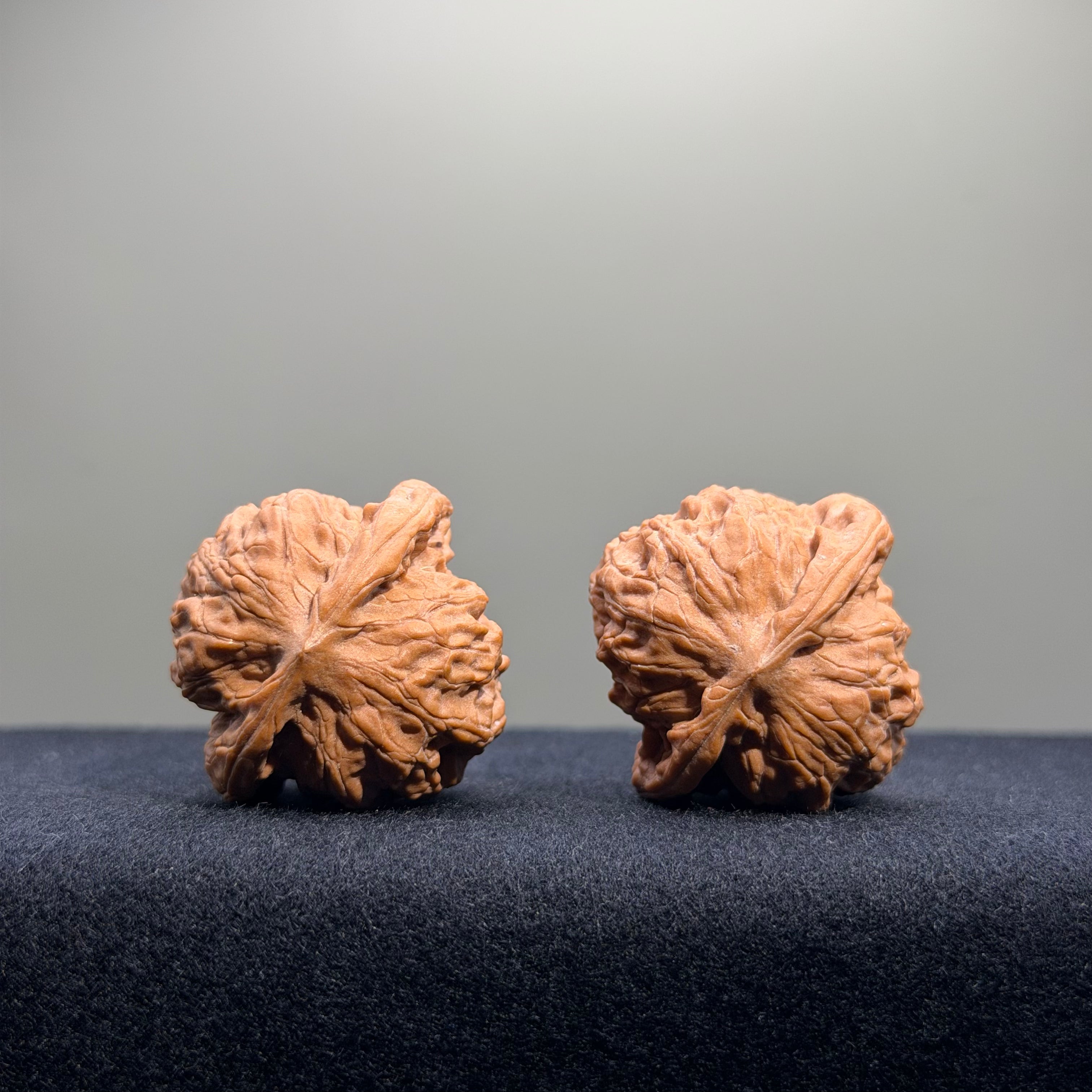 Wild Wolf Wenwan Walnut · 35mm · Natural · Entry Ritual