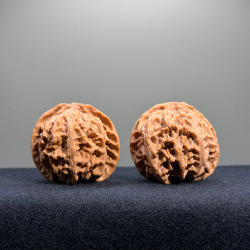 Apple Orchard Wenwan Walnut · 39mm · Natural · Entry Ritual
