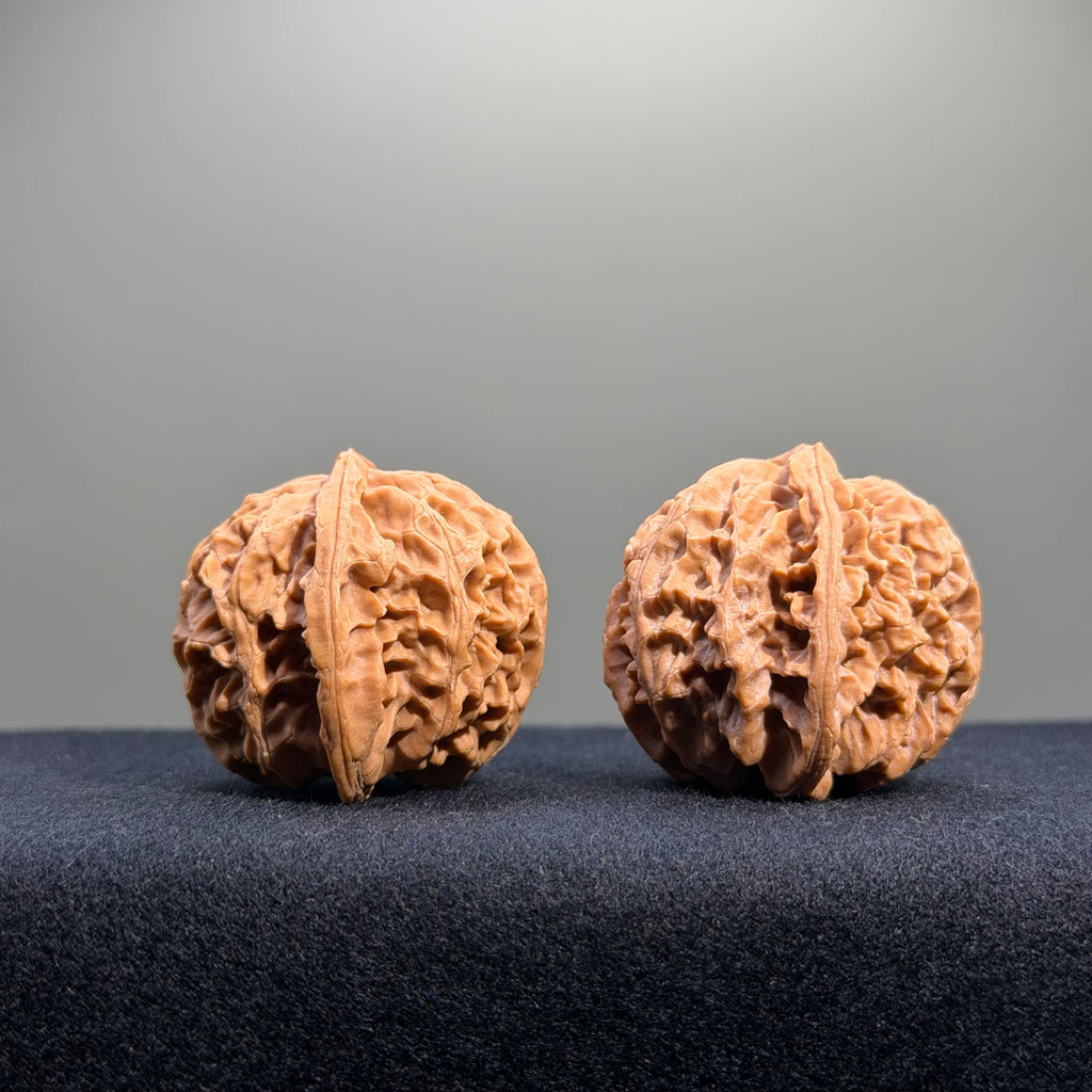 Apple Orchard Wenwan Walnut · 39mm · Natural · Entry Ritual