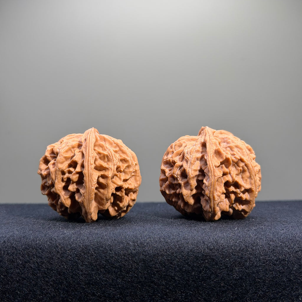 Apple Orchard Wenwan Walnut · 39mm · Natural · Entry Ritual