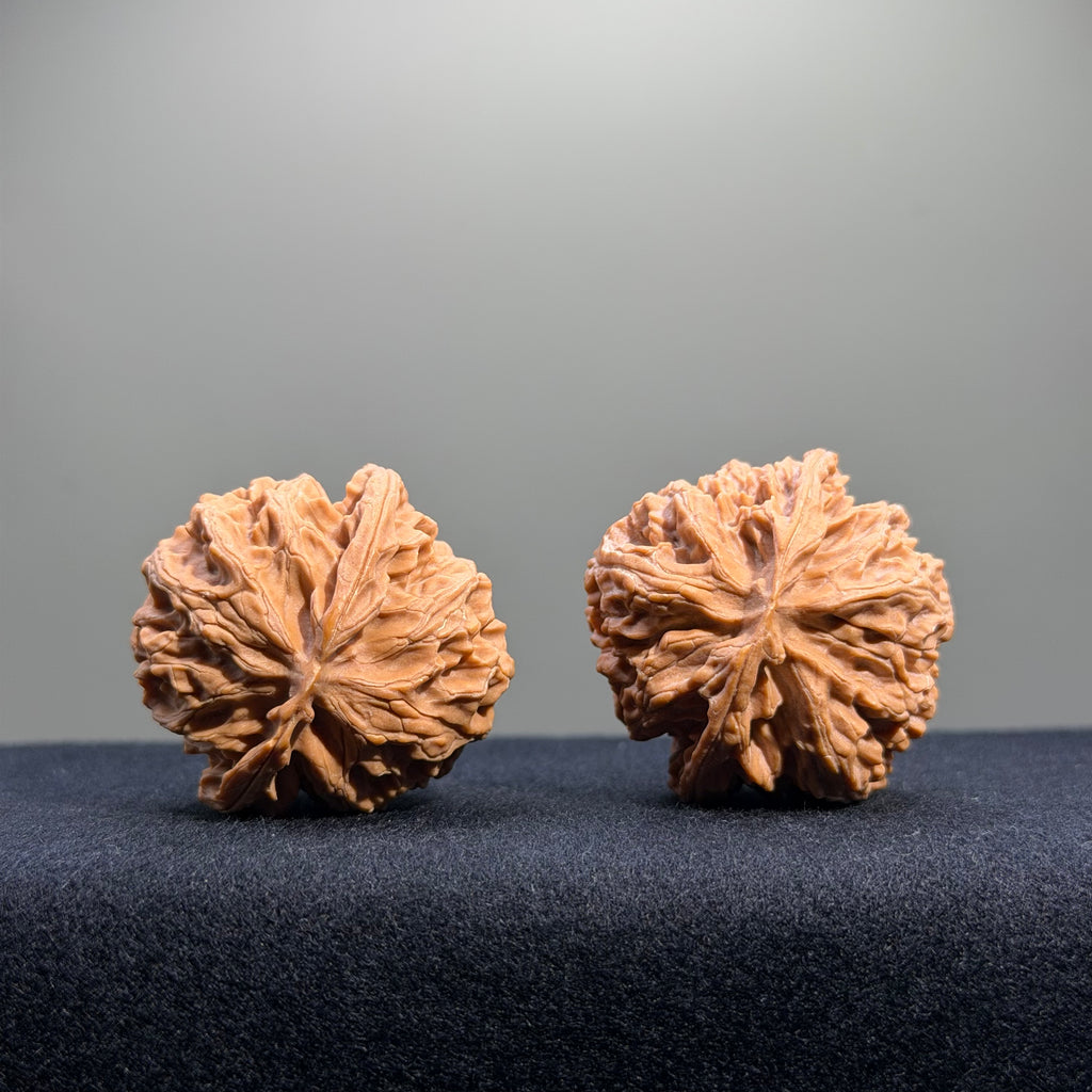 Apple Orchard Wenwan Walnut · 39mm · Natural · Entry Ritual