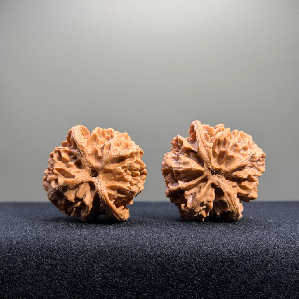 Apple Orchard Wenwan Walnut · 39mm · Natural · Entry Ritual