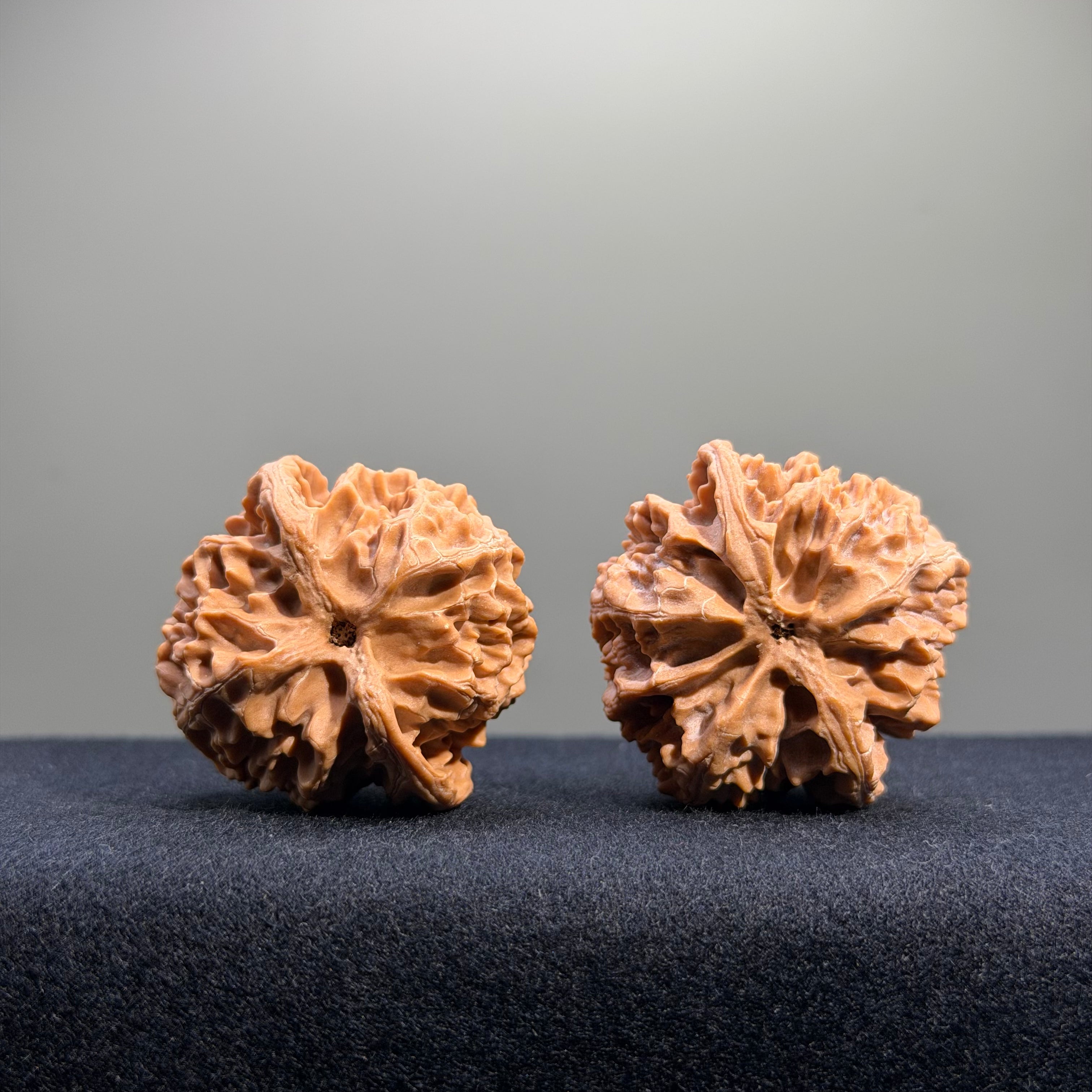 Apple Orchard Wenwan Walnut · 39mm · Natural · Entry Ritual