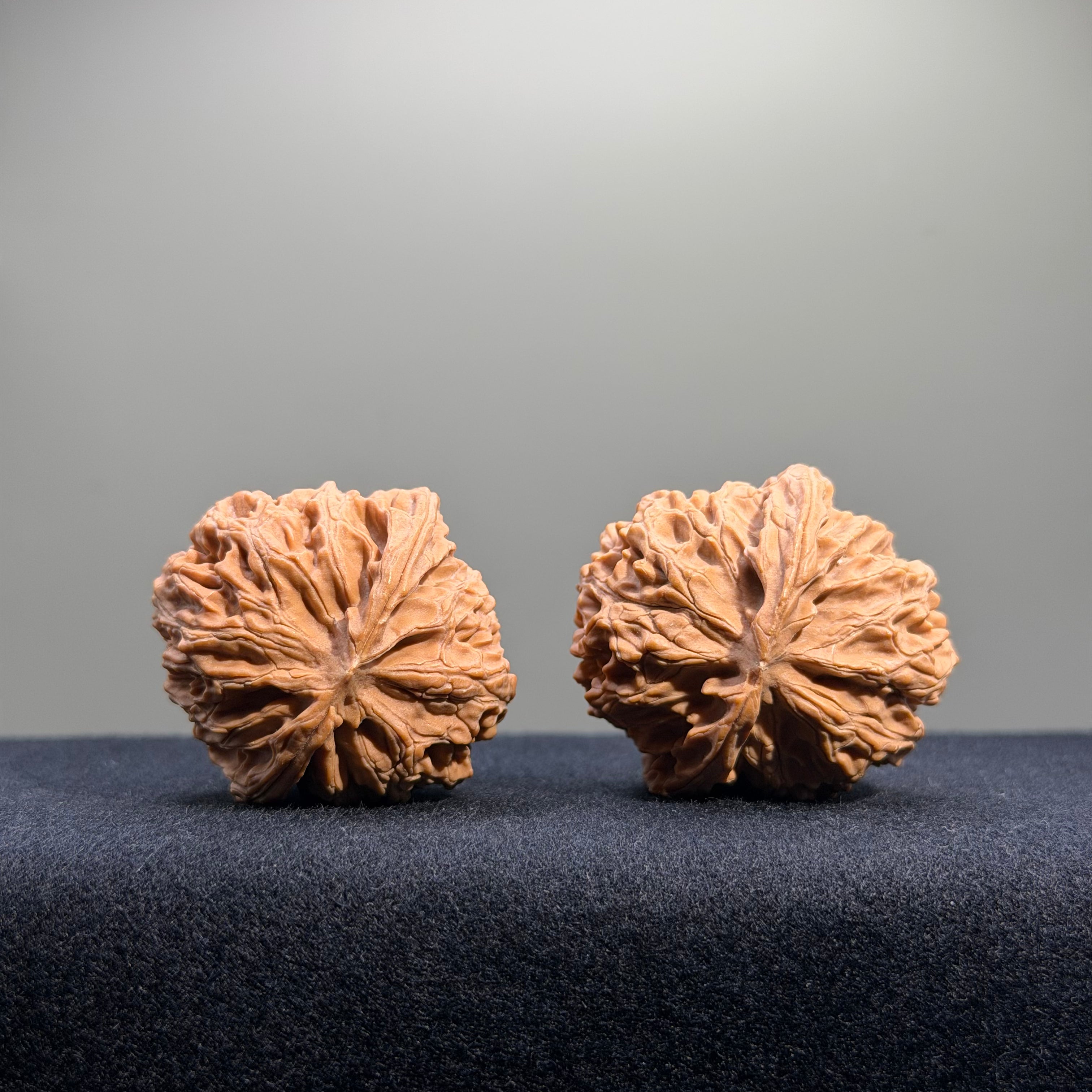 Apple Orchard Wenwan Walnut · 39mm · Natural · Entry Ritual