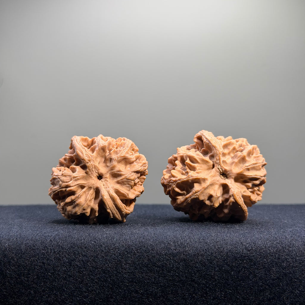 Apple Orchard Wenwan Walnut · 39mm · Natural · Entry Ritual