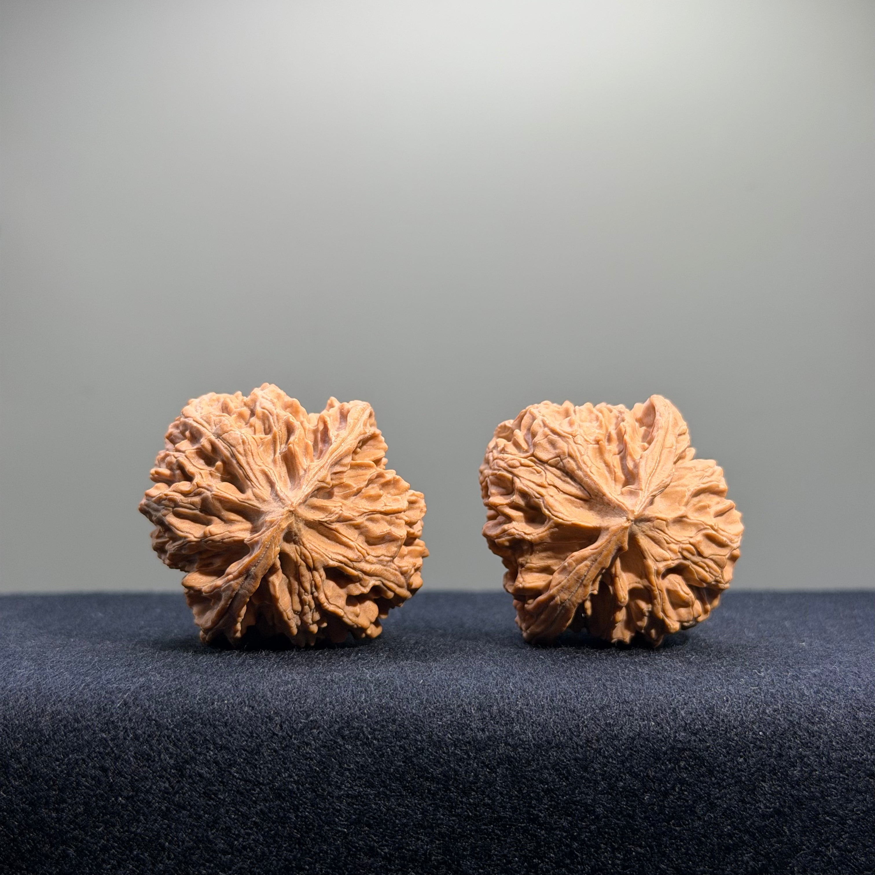Apple Orchard Wenwan Walnut · 38mm · Natural · Entry Ritual