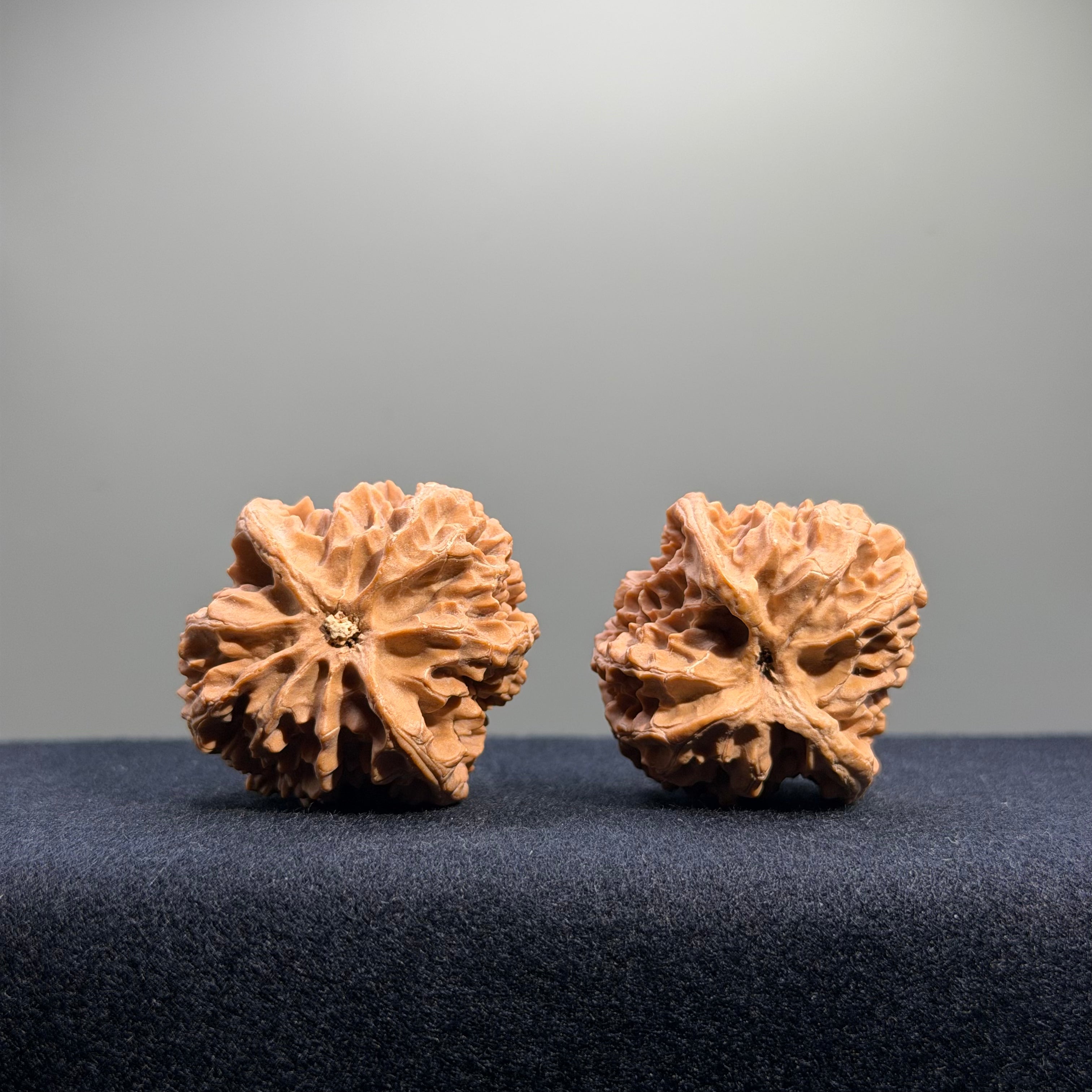 Apple Orchard Wenwan Walnut · 38mm · Natural · Entry Ritual