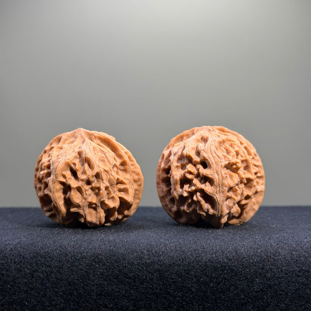 Apple Orchard Wenwan Walnut · 39mm · Natural · Entry Ritual
