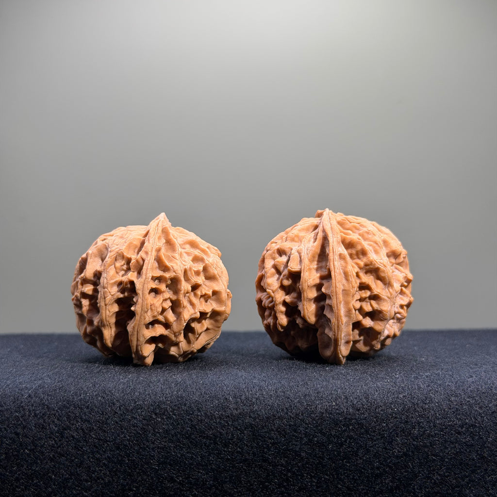 Apple Orchard Wenwan Walnut · 39mm · Natural · Entry Ritual