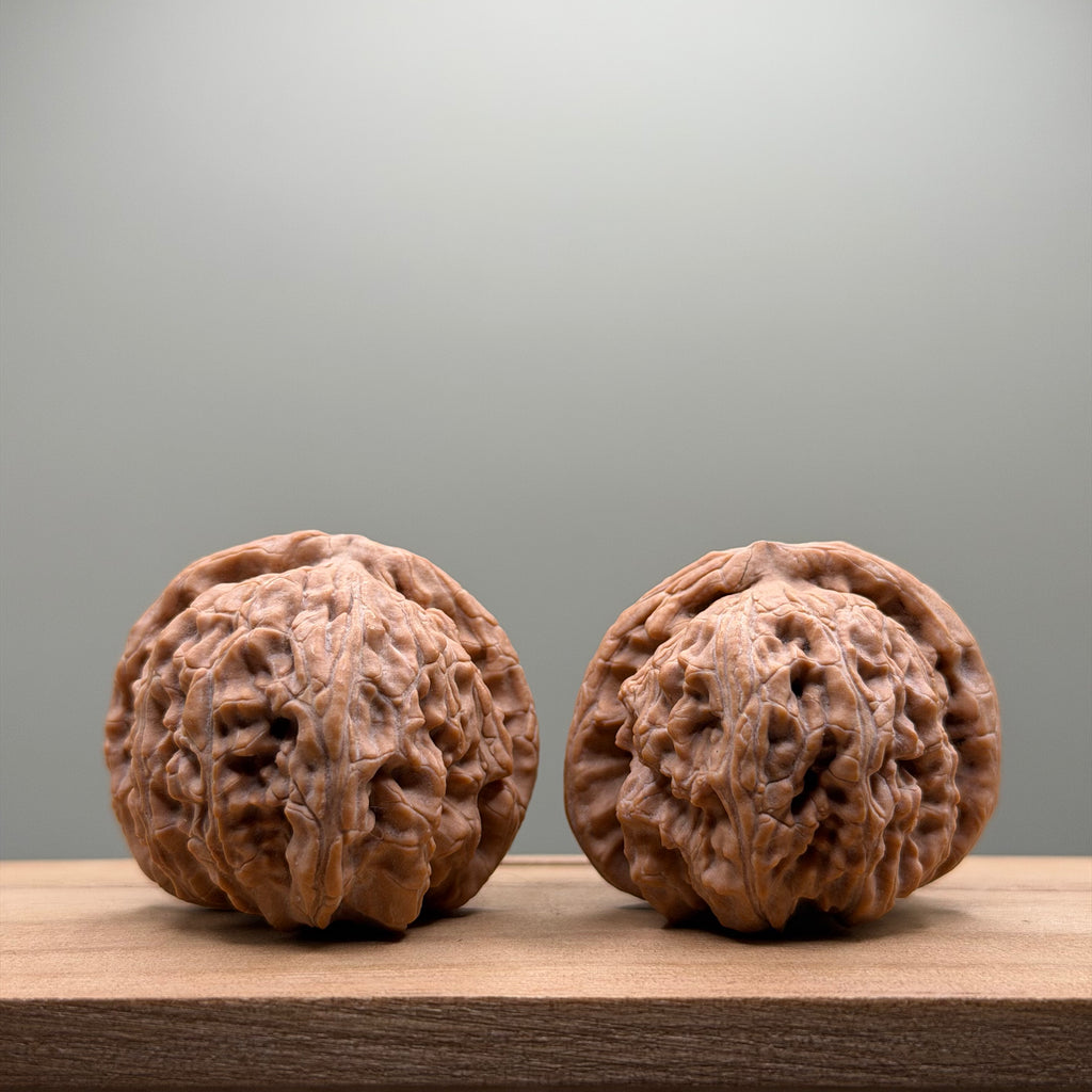 White Lion Head Walnut