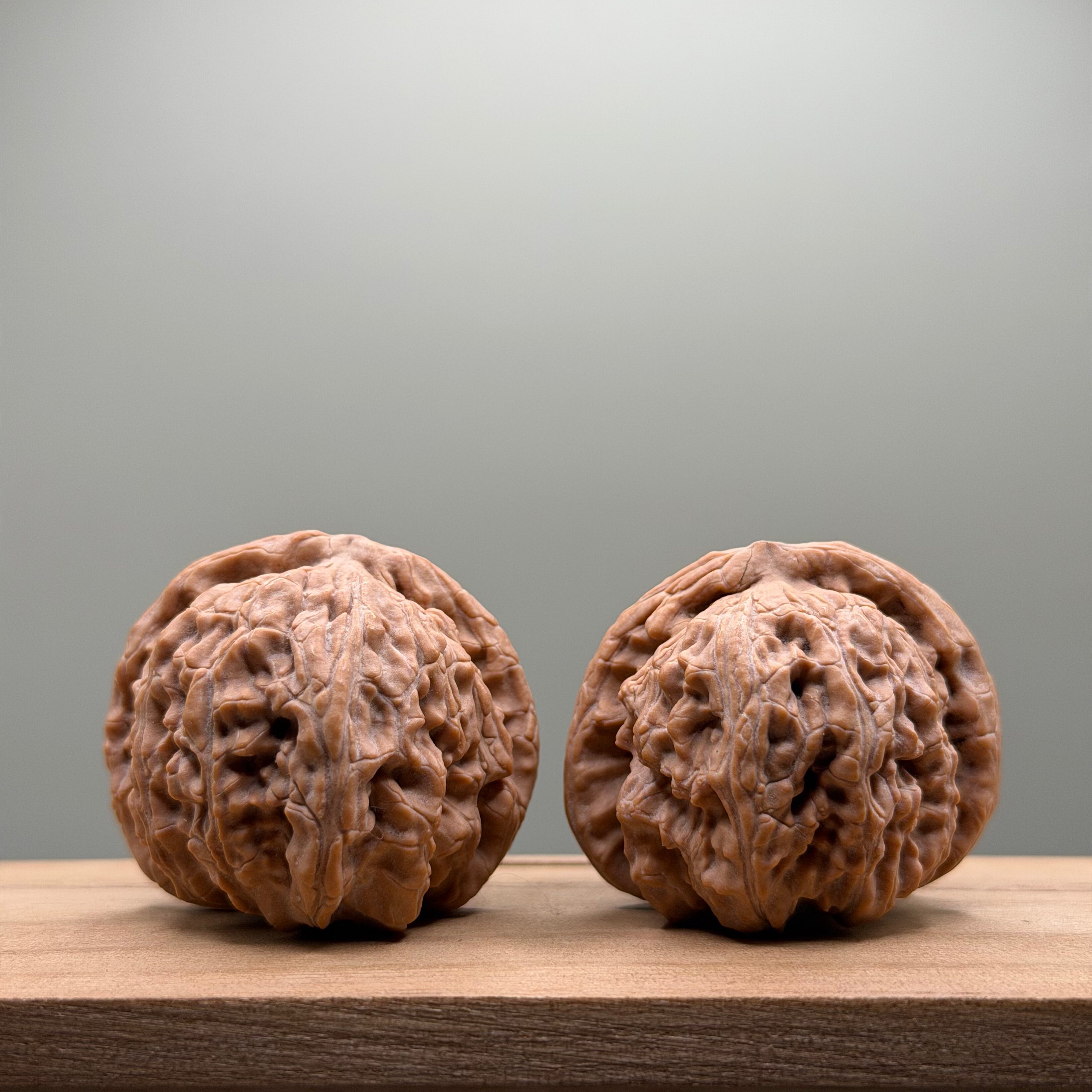 White Lion Head Walnut