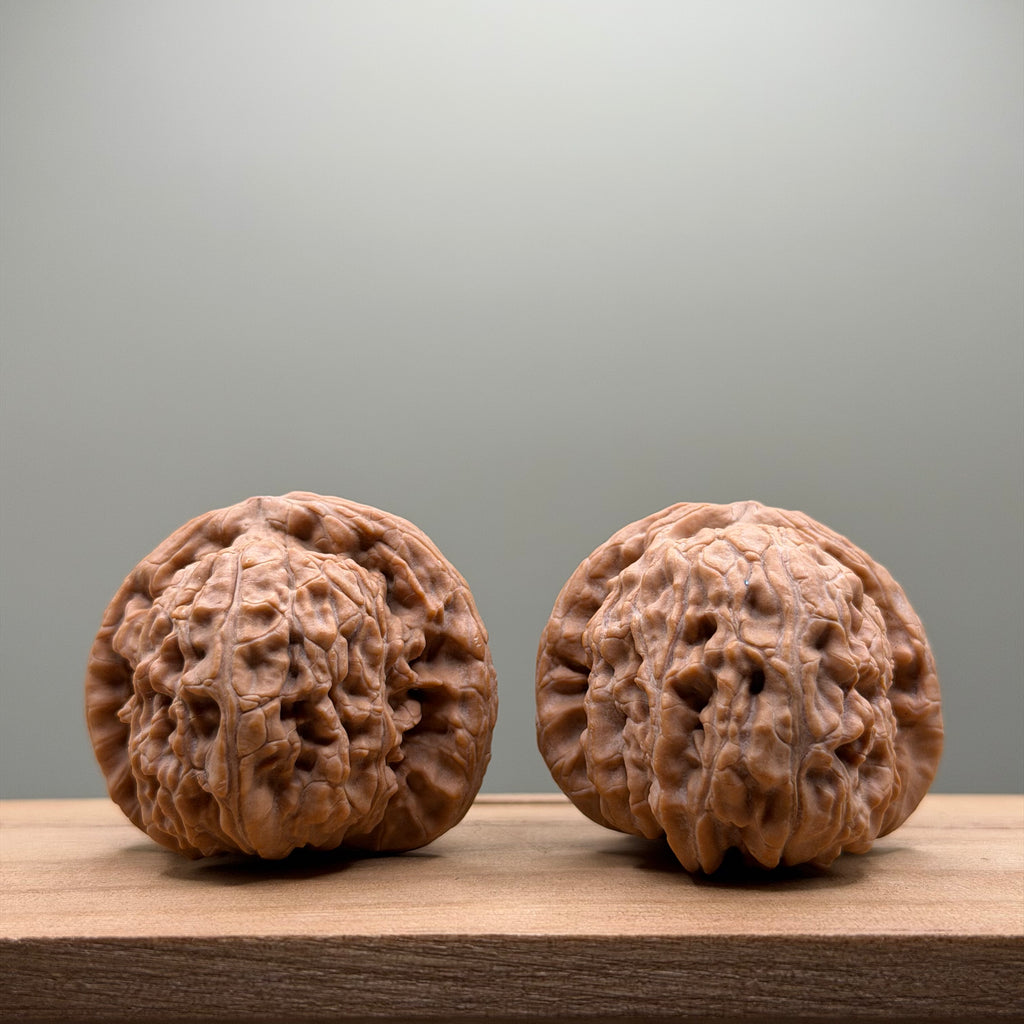 White Lion Head Walnut
