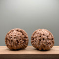 White Lion Head Walnut