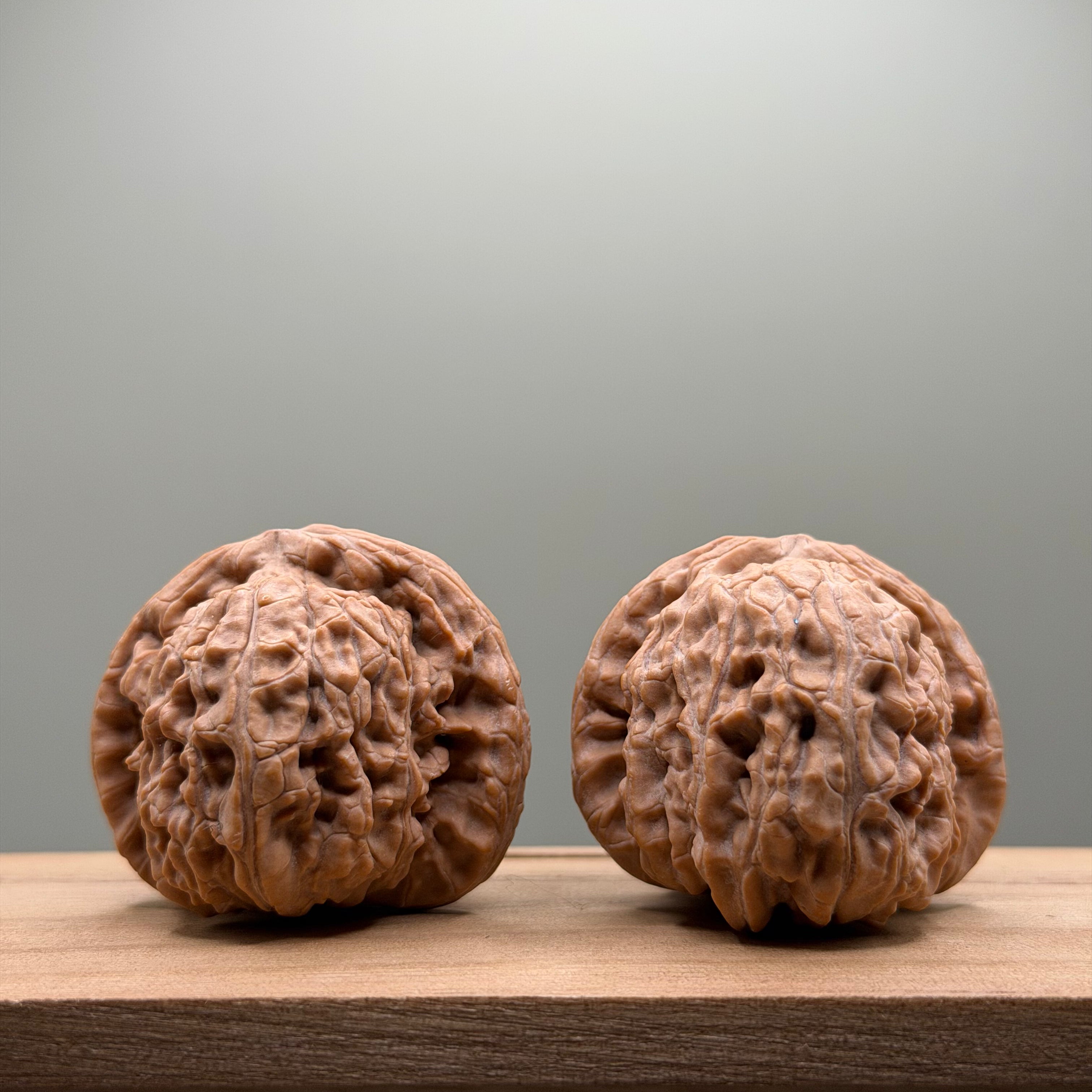 White Lion Head Walnut