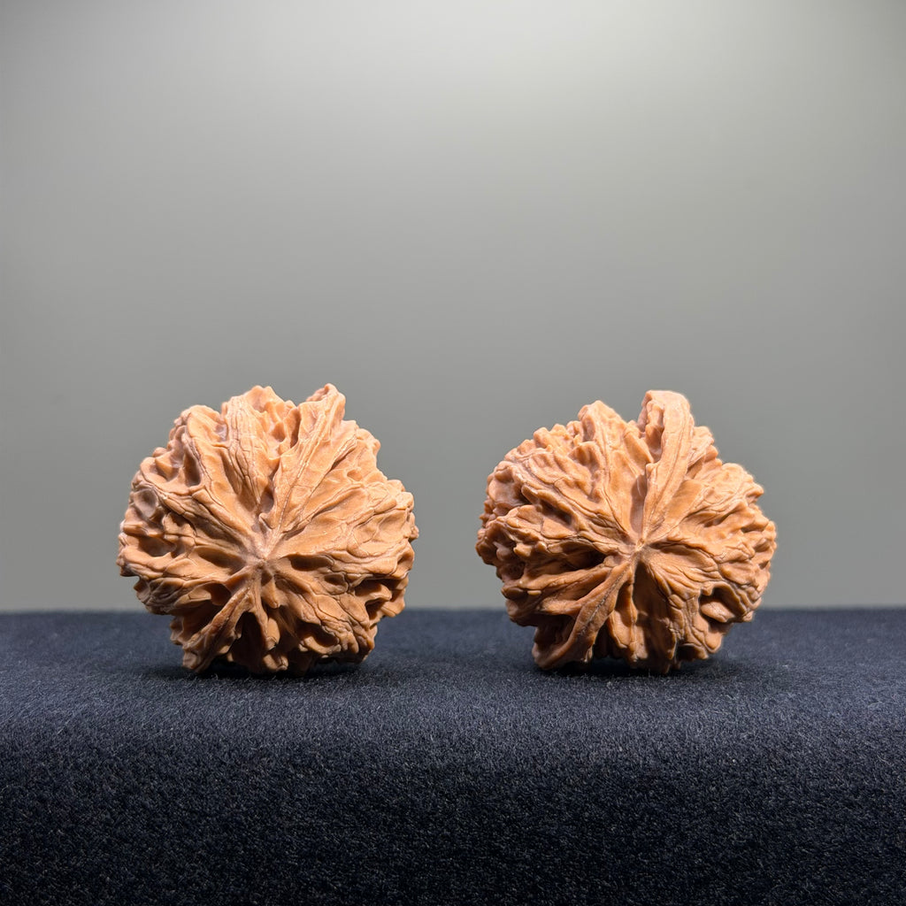 Apple Orchard Wenwan Walnut · 39mm · Natural · Entry Ritual