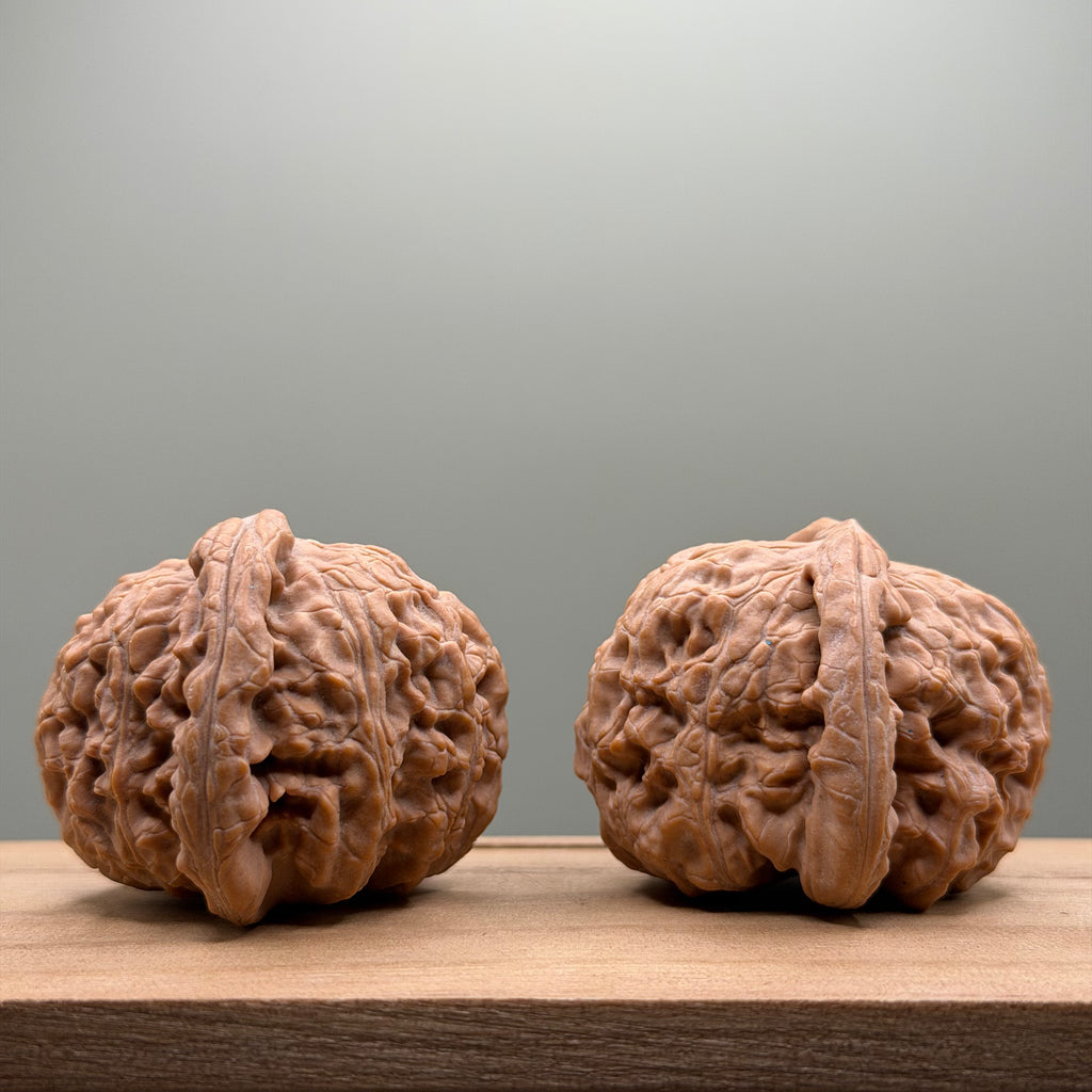 White Lion Head Walnut