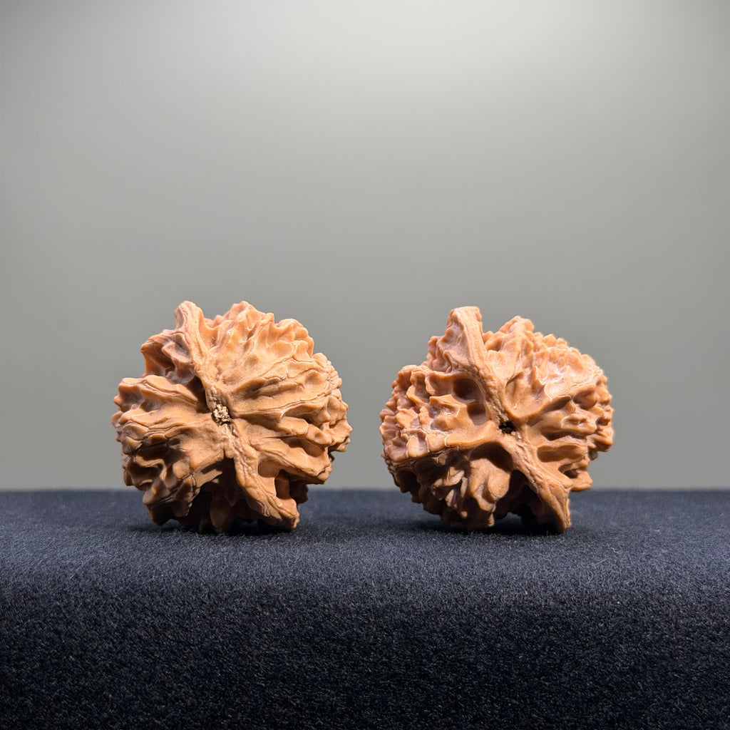 Apple Orchard Wenwan Walnut · 39mm · Natural · Entry Ritual