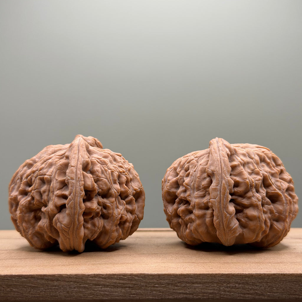 White Lion Head Walnut