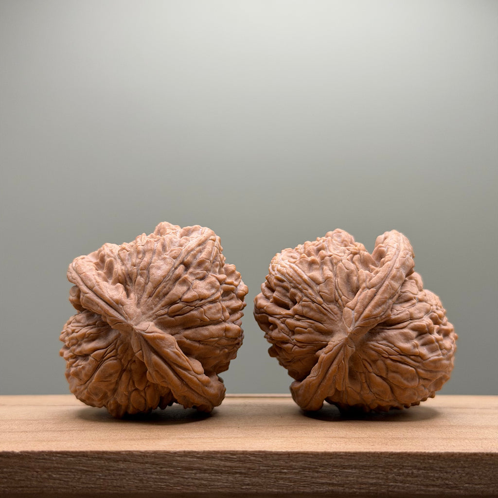 White Lion Head Walnut