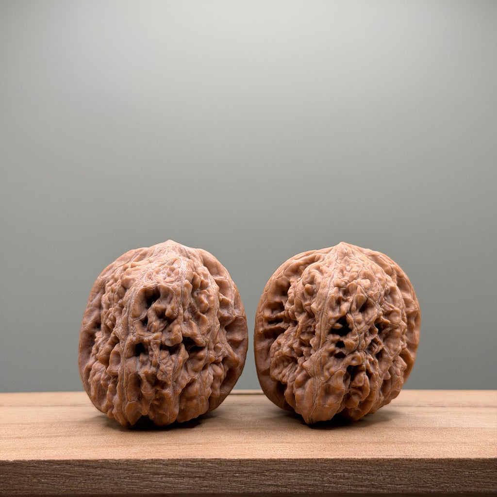 Northwest General’s Shoulder Walnut