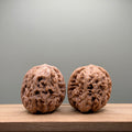 Northwest General’s Shoulder Walnut