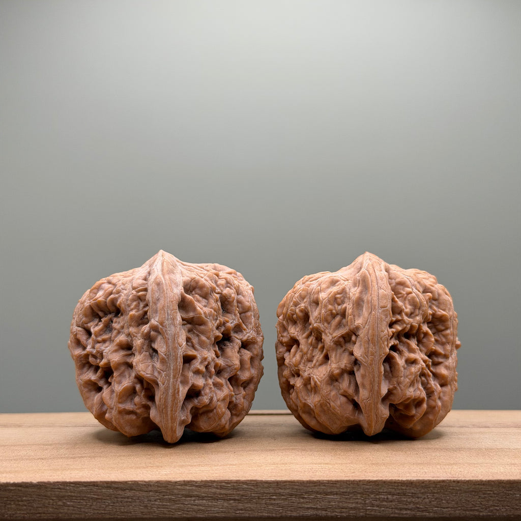 Northwest General’s Shoulder Walnut