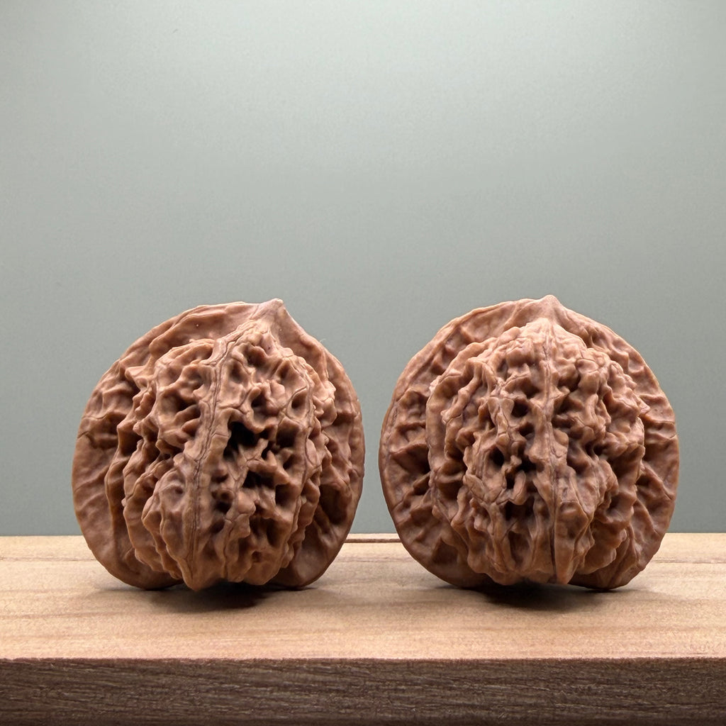 Coiled Dragon(Pan Long Wen) Lion Head Walnut