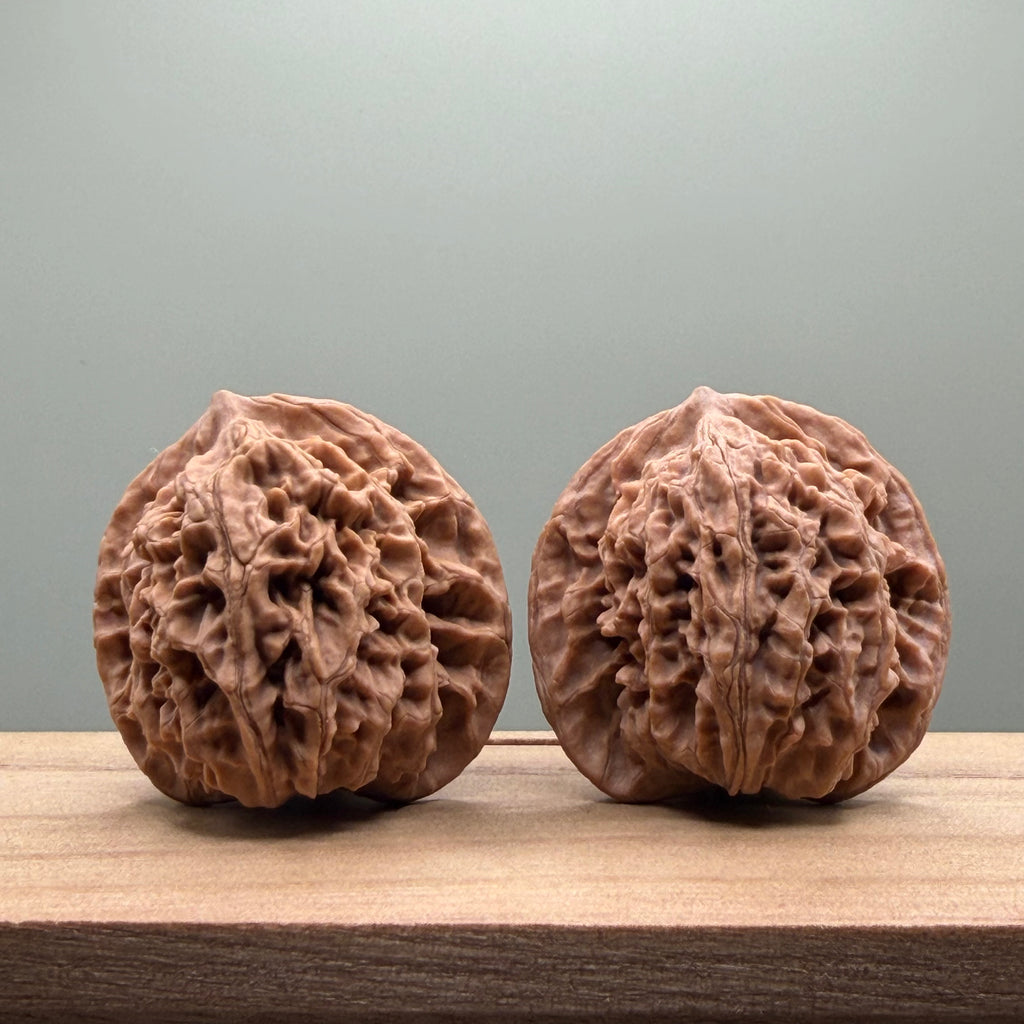 Coiled Dragon(Pan Long Wen) Lion Head Walnut