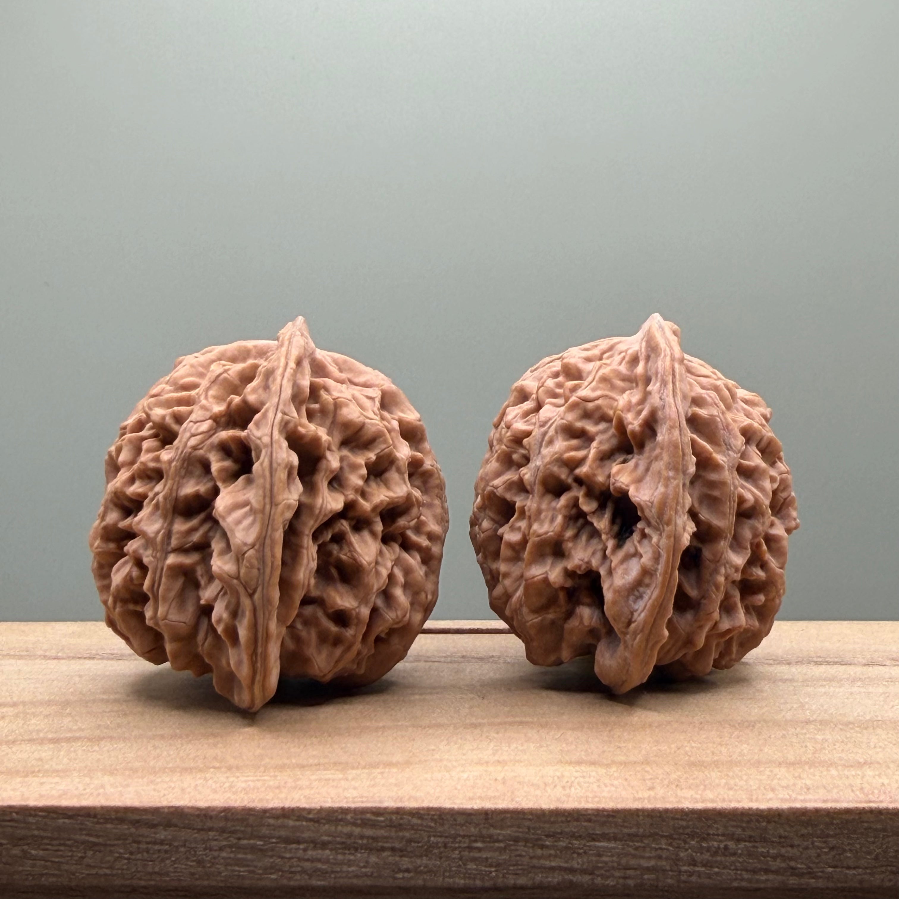 Coiled Dragon(Pan Long Wen) Lion Head Walnut