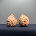 Turtle Shell Wenwan Walnut · 31mm · Natural · Entry Ritual