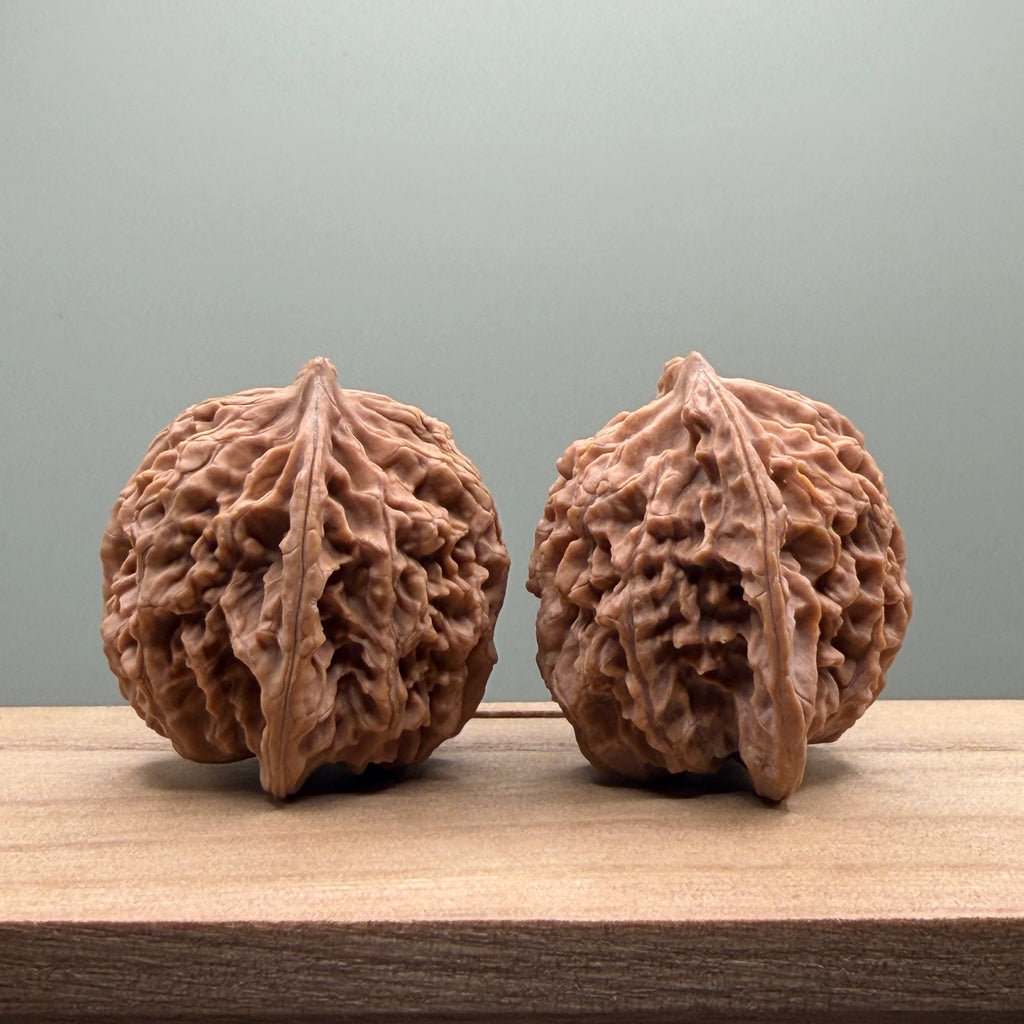 Coiled Dragon(Pan Long Wen) Lion Head Walnut