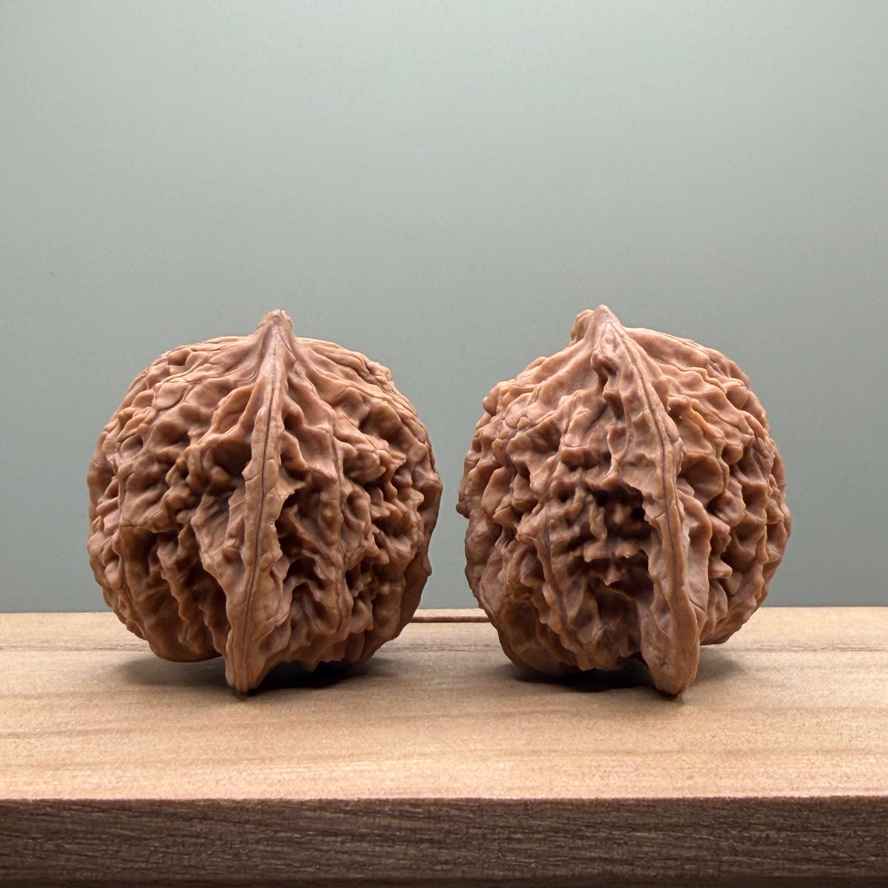 Coiled Dragon(Pan Long Wen) Lion Head Walnut
