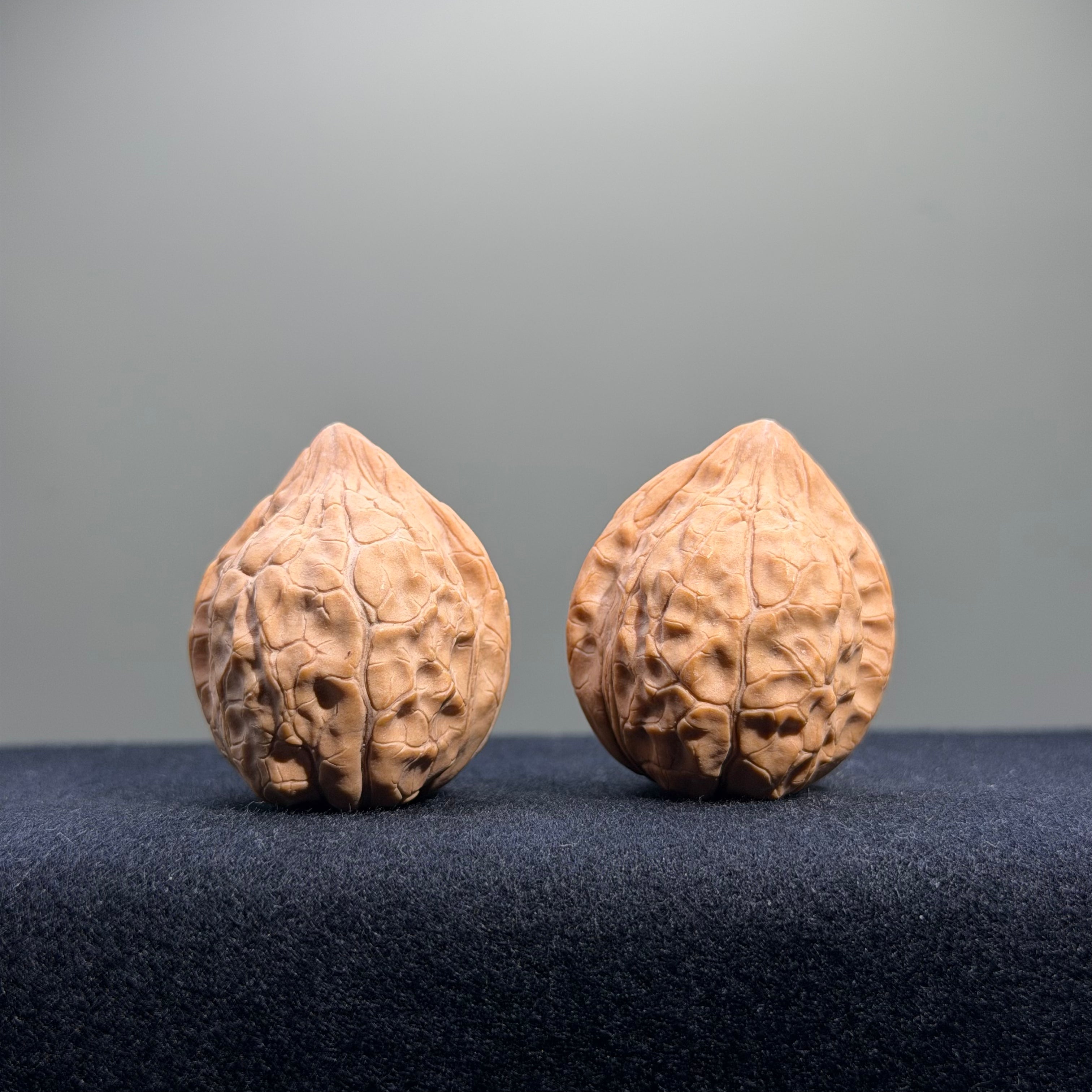Turtle Shell Wenwan Walnut · 31mm · Natural · Entry Ritual